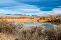 Bosque Del Apache Wildlife Refuge