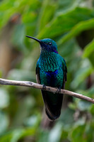 Banos/Rio Verde