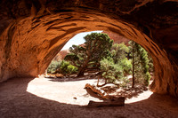 Arches National Park