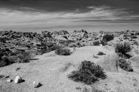 Joshua Tree National Park