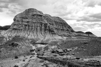Petrified Forest National Park
