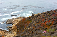 Big Sur