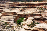 Natural Bridges National Monument