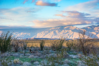 Anza Borrego State Park